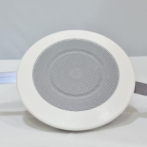 Altavoz techo 3" (Pareja) AP-1029 UDE